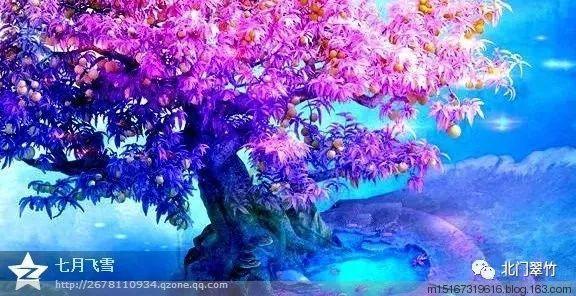 可怜猫的救援